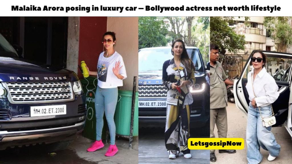 Malaika Arora posing in luxury car – Bollywood actress net worth lifestyle